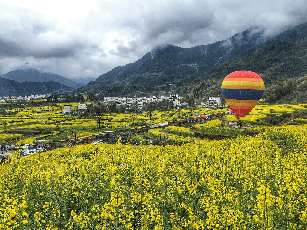 Wuyuan is known for its peaceful villages, brilliant canola blossoms, and graceful ancient homes (Source: Pixabay)